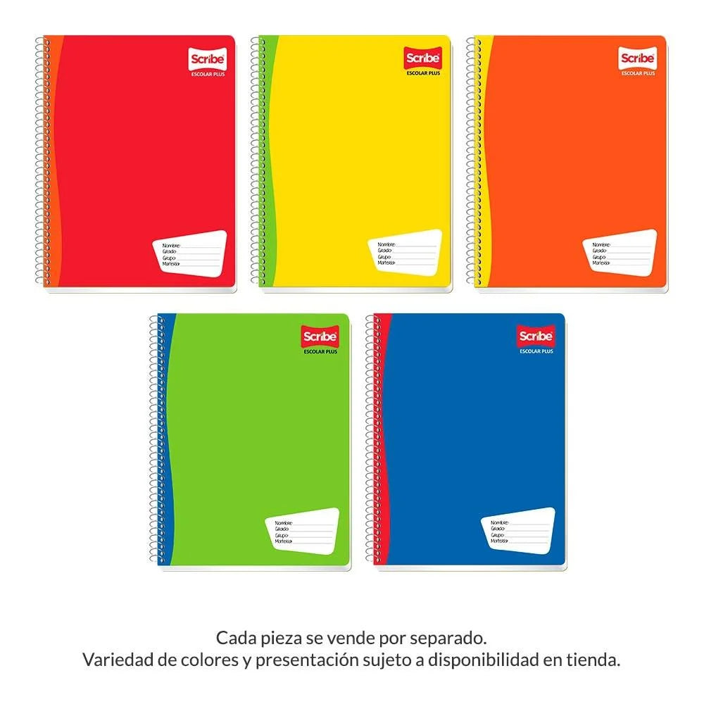 4 cuadernos profesionales scribe escolar plus x 100 pesos