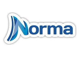 Cuaderno cosido cuadro chico forma italiana 100 hojas NORMA