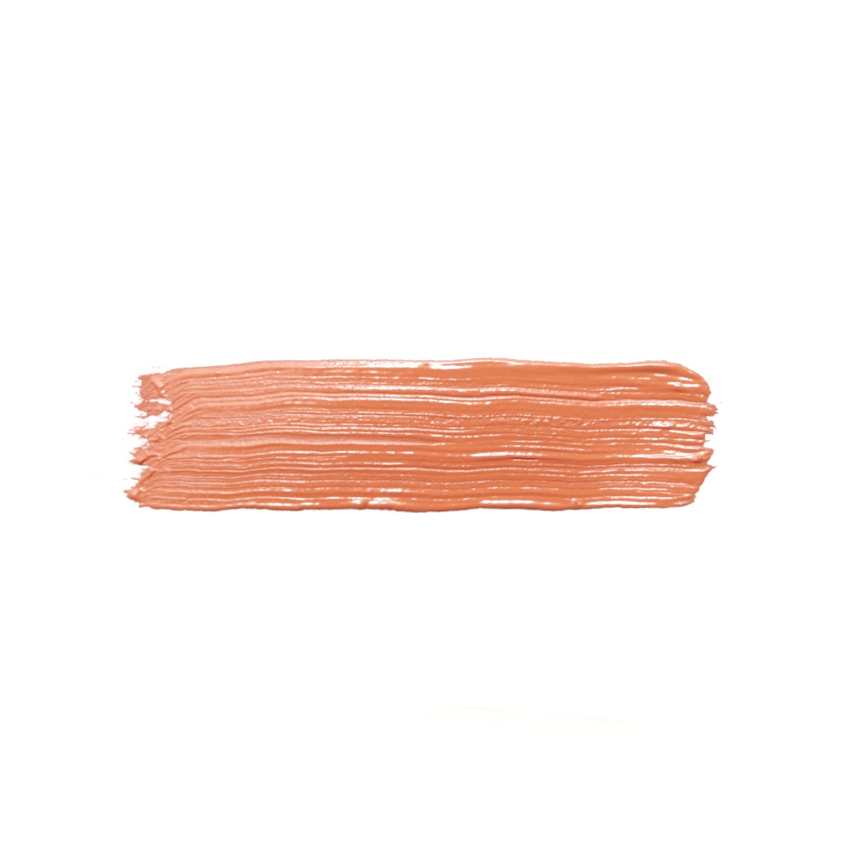 Caja De Pintura Acrílica Politec Terracota 340 / 100 Ml / 6 Piezas