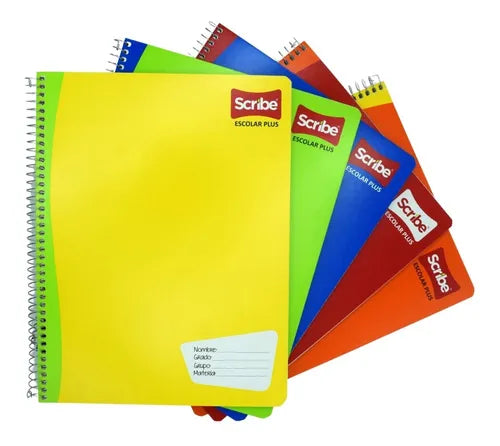 4 cuadernos profesionales scribe escolar plus x 100 pesos