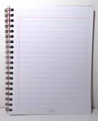 cuaderno profesional scribe