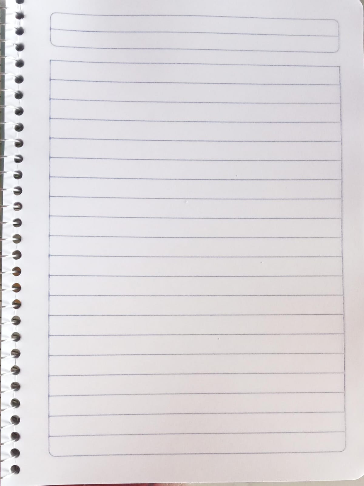 Cuaderno de raya forma frances 100 hojas un aro YUPPI