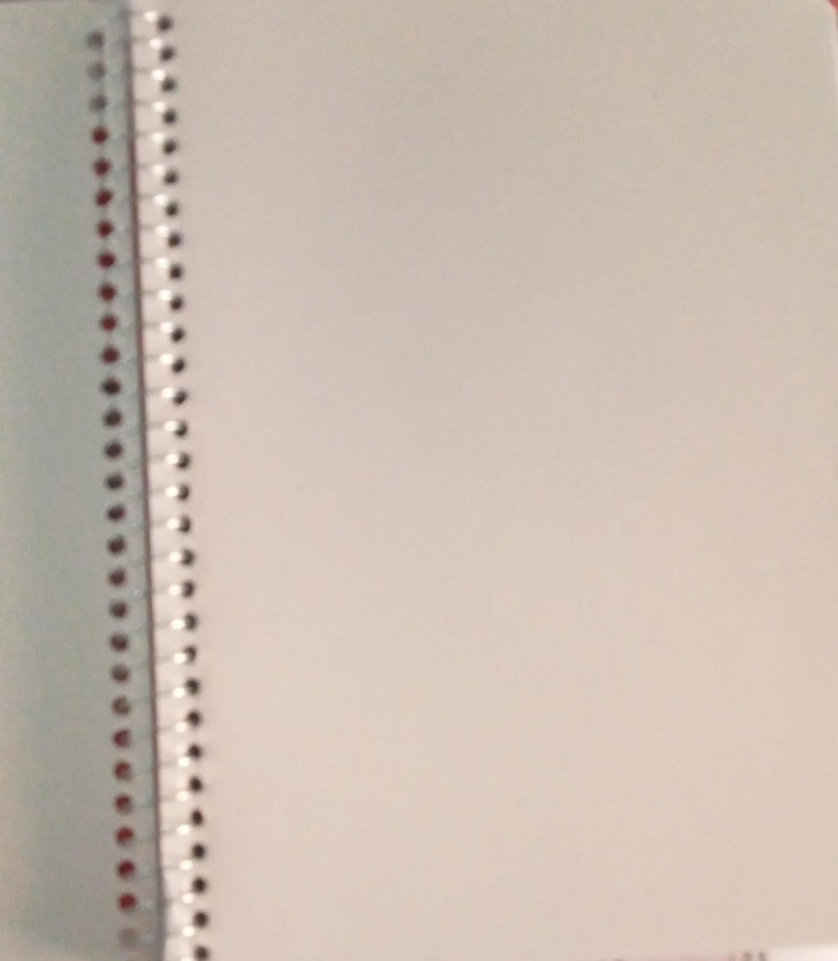 Cuaderno dibujo 100 hojas frances un aro YUPPI