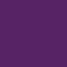 Hoja de color t/c morado uva intenso /1 pieza EUROCOLORS