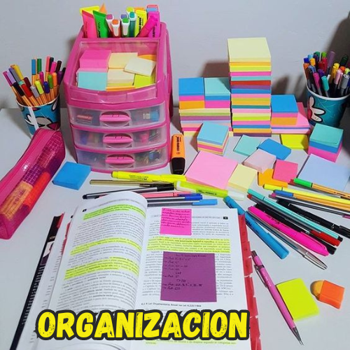 Organización y Archivo