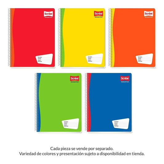 4 cuadernos profesionales scribe escolar plus x 100 pesos