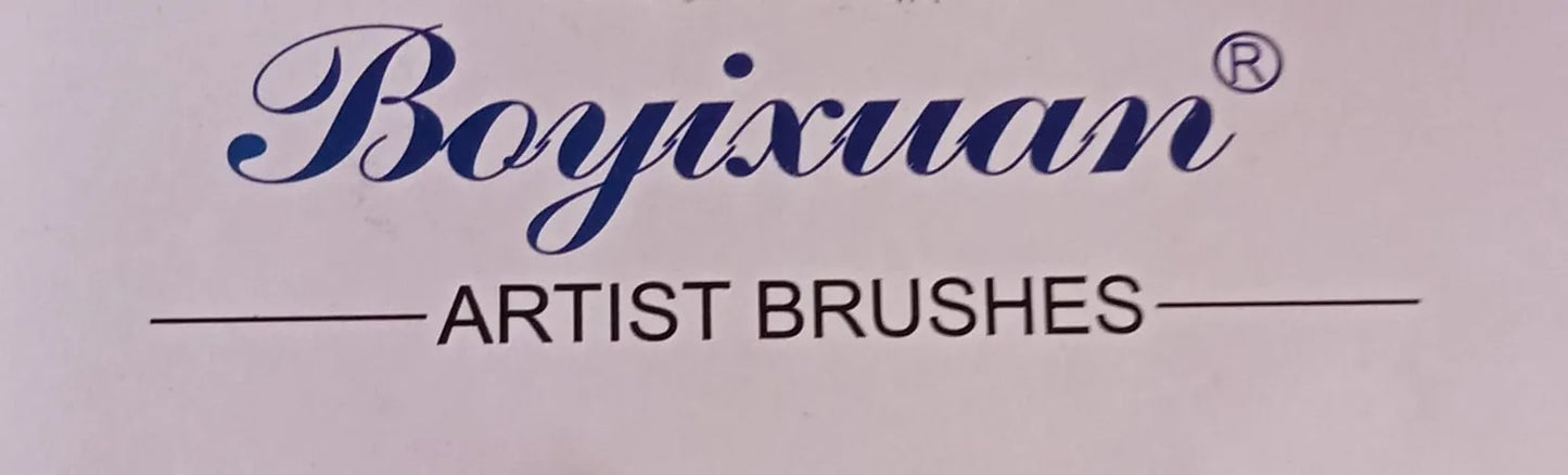 Pinceles 12 Piezas Boyixuan Art Brushes