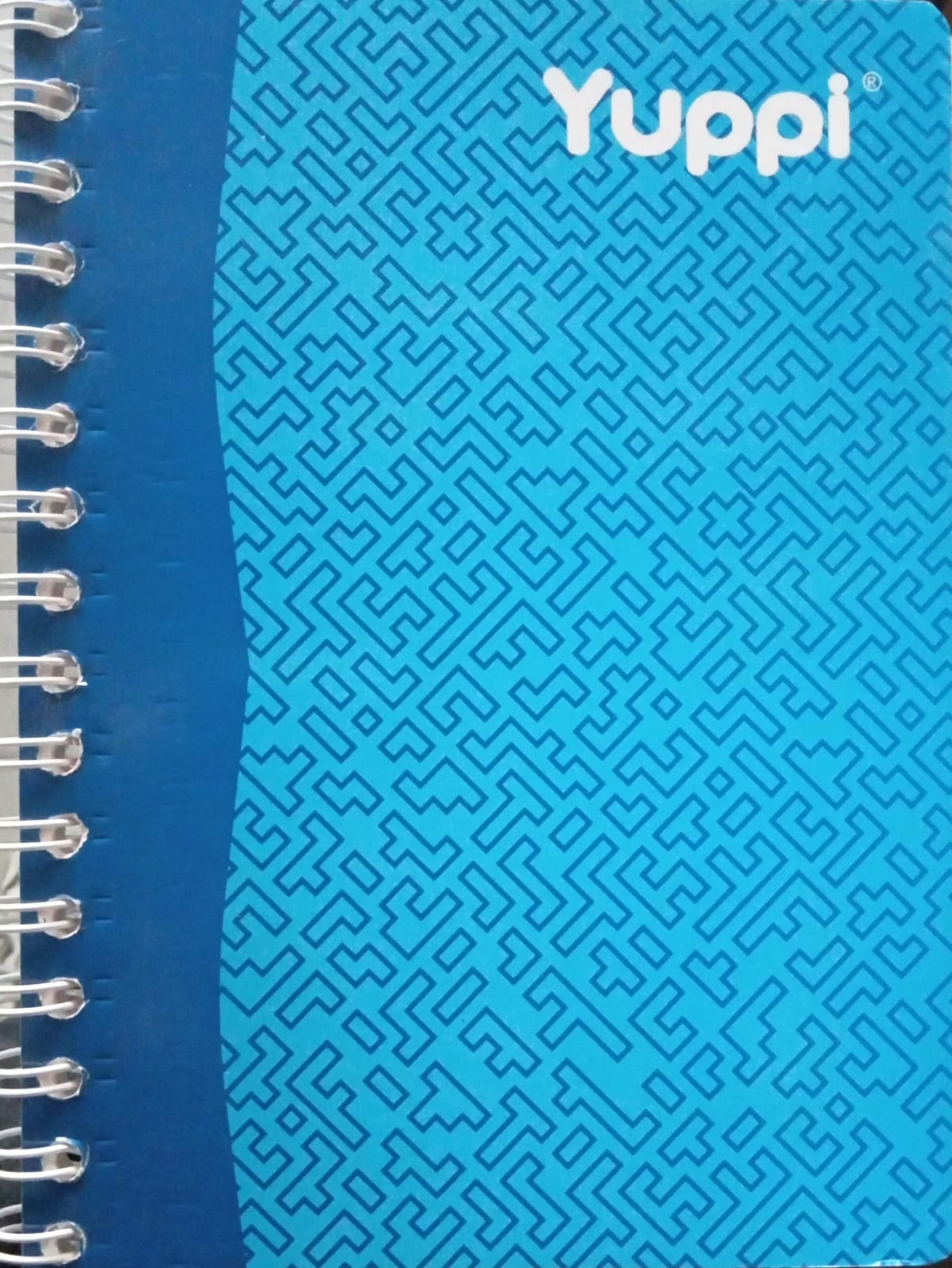 Cuaderno doble espiral cuadro grande 100 hojas francés YUPPI