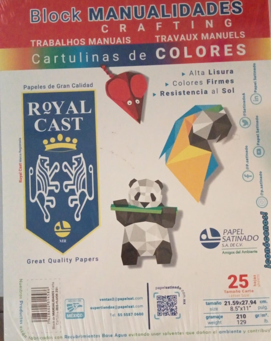 Block de cartulinas de colores 25 hojas ROYAL CAST