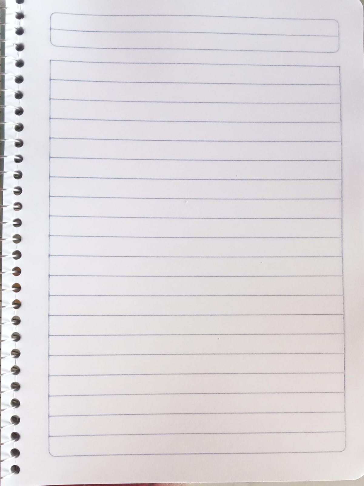 Cuaderno de un aro raya 100 hojas forma frances SCRIBE