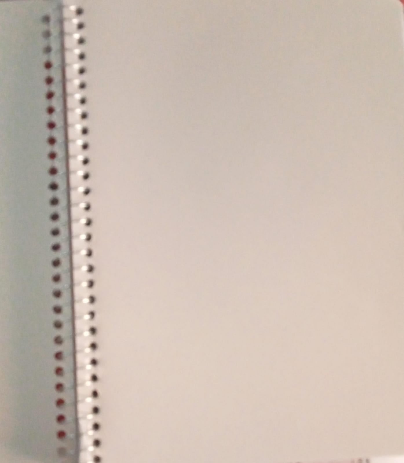 Cuaderno dibujo 100 hojas frances un aro YUPPI