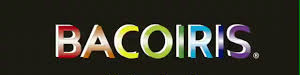 Colores Cortos C/12 Bacoiris