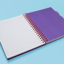 Cuaderno doble aro cuadro grande100 hojas frances SAZZ