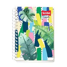 Cuaderno doble aro cuadro grande 100 hojas frances SCRIBE